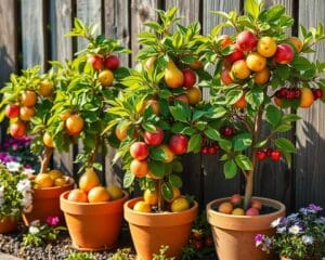 Obstbäume im Kübel: Frische Früchte für kleine Gärten