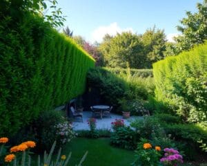 Windschutz im Garten: Natürliche Barrieren für windige Tage