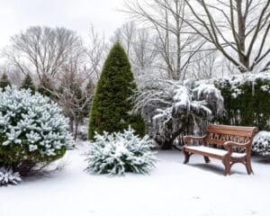 Garten im Winter: So bleibt er schön