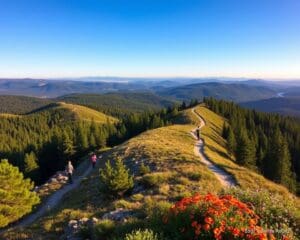 Wanderrouten für Anfänger und Fortgeschrittene