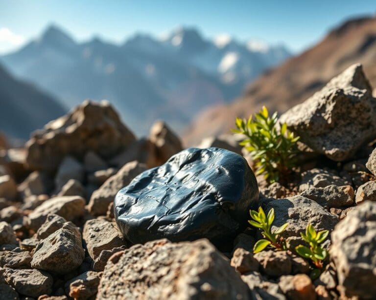 Shilajit testen: Was du vorher wissen musst