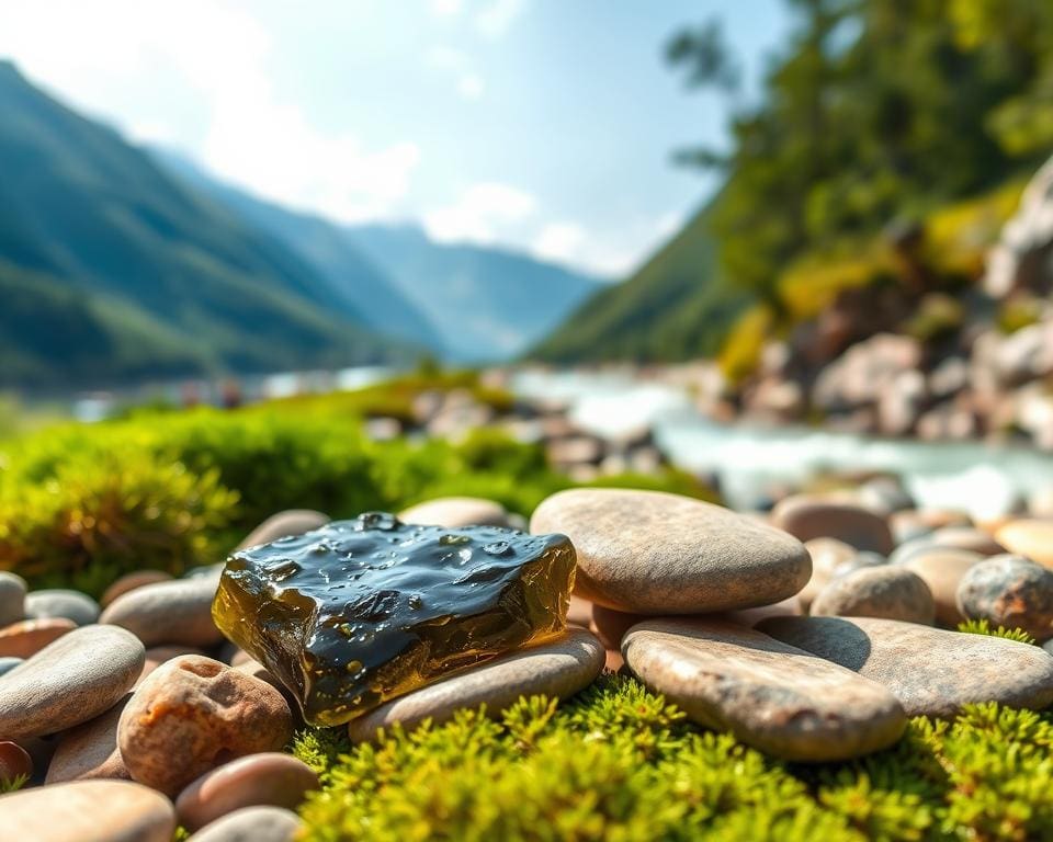 Shilajit und Stressabbau: Deine natürliche Hilfe