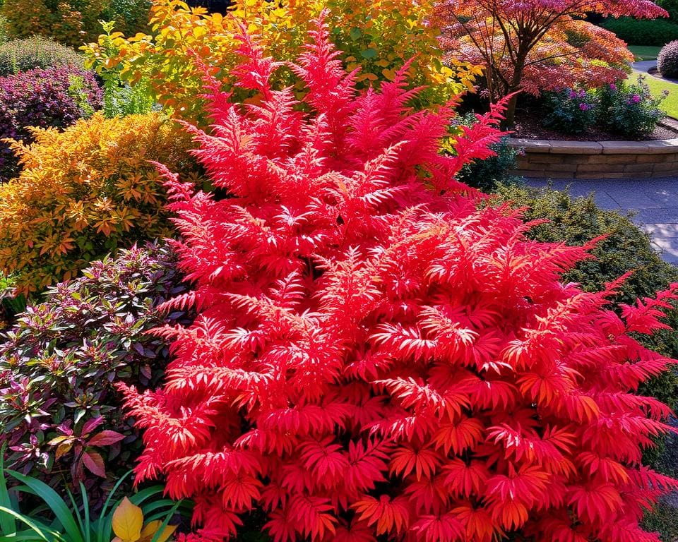 Ziergehölze im Herbst: Farbenprächtige Akzente für den Garten