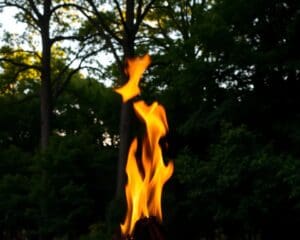 Luxemburg: Was droht bei offener Flamme im Park? 🇱🇺