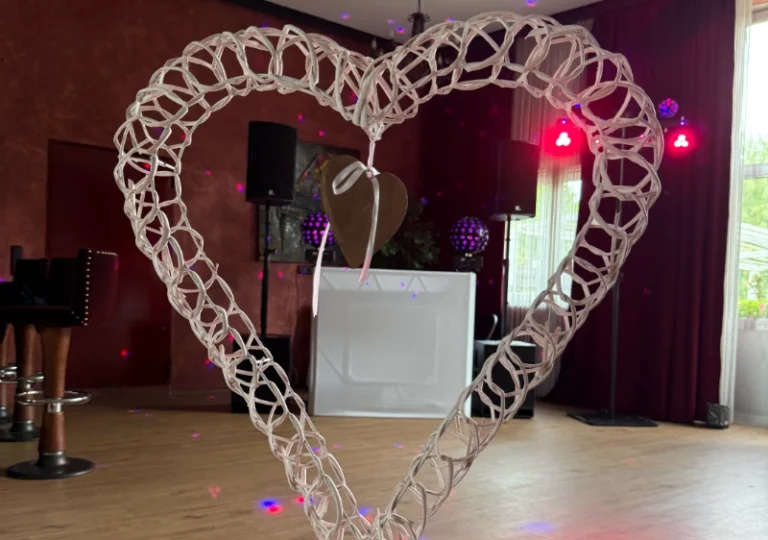 Welche Vorteile bietet ein erfahrener Hochzeits DJ Rhein Main?