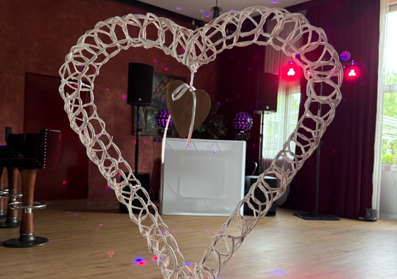 Welche Vorteile bietet ein erfahrener Hochzeits DJ Rhein Main?