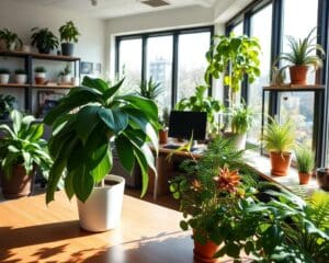 Warum verbessern Pflanzen das Klima im Büro?