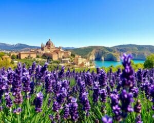 Welche Sehenswürdigkeiten bietet Südfrankreich?