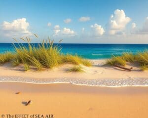 Wie wirkt sich Meeresluft positiv aus?